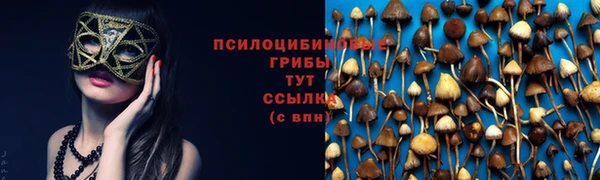 амф Алексеевка