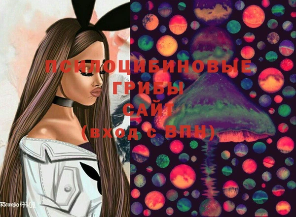 стафф Алексин