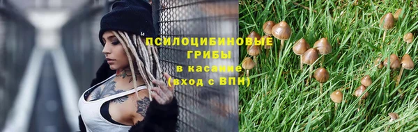 амф Алексеевка