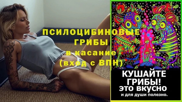 стафф Алексин
