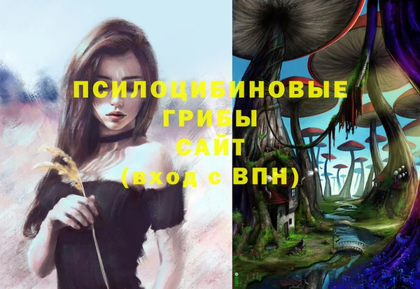 стафф Алексин
